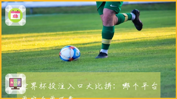 世界杯投注入口大比拼：哪个平台更安全更可靠