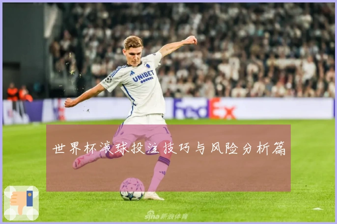 世界杯滚球投注技巧与风险分析篇